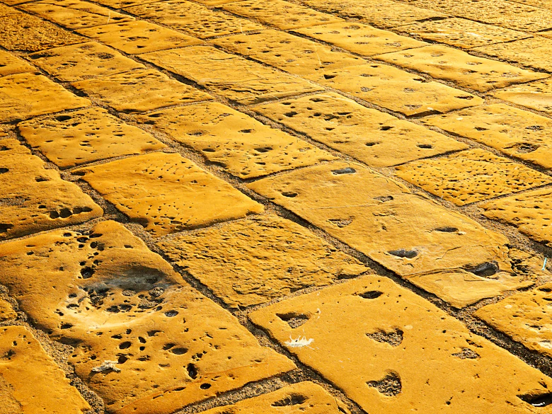 Fresh wet-look sealer across a weathered stone surface